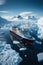 Expeditions in the Antarctic, Big cruise ship