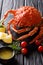 Expensive food: cooked whole crab spider with lemon and melted b