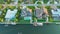 Expensive mansions between green palm trees on Gulf of Mexico shore in Sarasota city in Florida, USA. Aerial view of