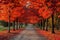 Experience the beauty of autumn on a picturesque road enveloped with vibrant fall foliage, A beautiful maple tree avenue glowing