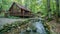 Experience the beauty of nature at Babbling Brook Bungalow where a cozy cabin and a babbling brook combine for the