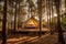 Experience the perfect blend of luxury and nature with glamping in a serene pine forest. Immerse yourself in the beauty