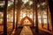 Experience the perfect blend of luxury and nature with glamping in a serene pine forest. Immerse yourself in the beauty