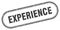 Experience stamp. rounded grunge textured sign. Label