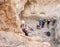 Experienced athlete descending with equipment for rappel in mountains of Judean Desert, near Rahaf stream, near Jerusalem, Israel