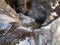 Experienced athletes wait after the descent with equipment for a rappel on a waterfall on the Black Gorge on the banks of the