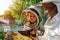 An experienced beekeeper transfers knowledge of beekeeping to a small beekeeper. The concept of transfer of experience.