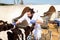 Experienced confident bearded veterinarian inspecting calves in dairy farm