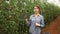 Experienced female grower engaged in cultivation of organic vegetables, checking crop of blue tomatoes in greenhouse