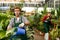 Experienced floriculturist watering ornamental houseplants in garden center