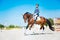 Experienced horse man riding professional racehorse Professional racehorse.