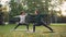 Experienced instructor slender girl is teaching her female student hatha yoga asanas on warm autumn day in city park