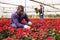 Experienced male worker gardening in glasshouse