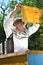 Experienced senior beekeeper working in his apiary