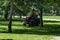 An experienced worker mows grass with a lawn tractor in the garden