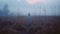 Experimental Cinematography: Meditative Color Contrasts In A Foggy Field