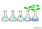 Experimental growth of plants in Erlenmayer flask,plant,nature,environment
