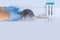 experimental laboratory gray rat, concept Genetic Modifications, Behavioral Studies Research on rodents, Mouse-based Laboratory