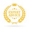 Expert advice vector icon