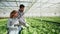 Expert engineer in agronomy walking in a greenhouse