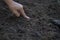 Expert farmer testing soil for planting vegetable