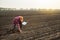 Expert hand of farmer checking soil health.