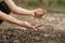 Expert hand of farmer checking soil quality