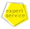 EXPERT SERVICE stamp on white background