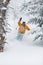 Expert skier skiing powder snow in Stowe, Vermont,
