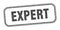 expert stamp. expert square grunge sign.