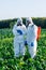 Expertise protective laptop farmer online chemical mask farm field harvest