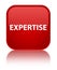 Expertise special red square button