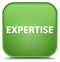 Expertise special soft green square button