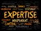 EXPERTISE word cloud