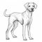 Expertly Drawn Dog Illustration On White Background