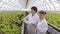 Experts check the salad in hydroponics in a greenhouse.