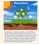 Explanation of Photosynthesis for biology and life science education