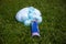 An exploded cylinder with construction foam on the grass. Balloon defect, close-up
