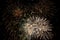 Exploding Fireworks against a Night Sky