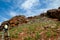 Exploration Geologist in the Field - Pilbara - Australia