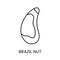 Explore the allure of Brazil Nut, a captivating line vector icon showcasing the natural beauty and distinctive shape