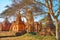 Explore architecture of Bagan, Myanmar