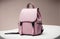 Explore the Beauty of a Pink Women\\\'s Handbag Backpack on a Trendy Dark Pink Studio Backgroun.