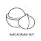 Explore the richness of Macadamia Nut, a captivating line vector icon representing the indulgent, flavorful nature