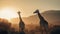 Explore the serenity of the African wilderness as a group of giraffes peacefully grazes, their collective presence harmonizing