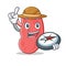Explorer kidney mascot cartoon style