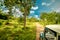 Exploring amazing nature at jeep safari in Sri Lanka