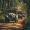 Exploring amazing nature at jeep safari in Sri Lanka