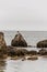 Exploring bird wildlife at the beach in the morning mist at Kejimkujik National Park Seaside, Nova Scotia, Canada