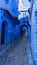Exploring the Blue Painted Alleyway